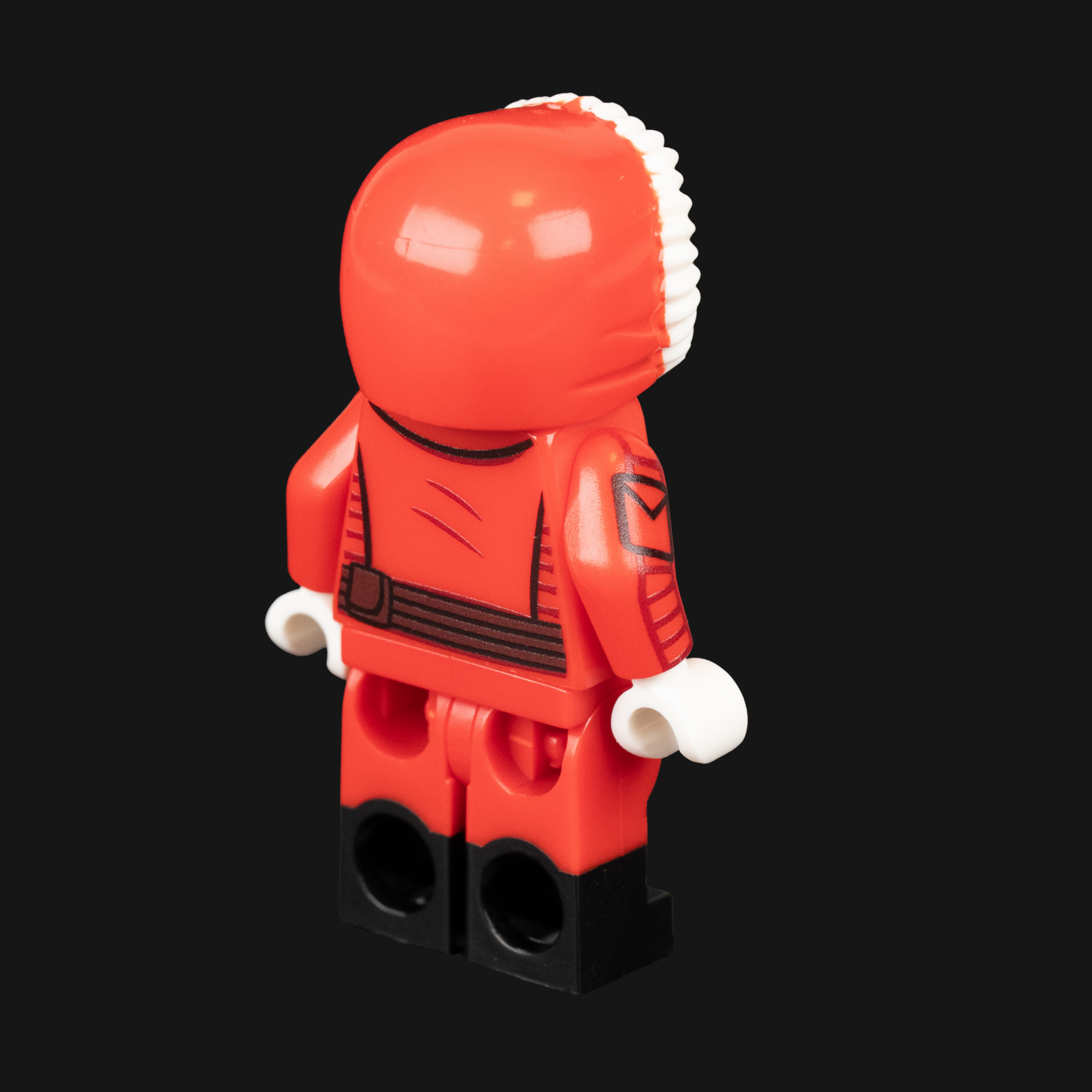 Santa Ani