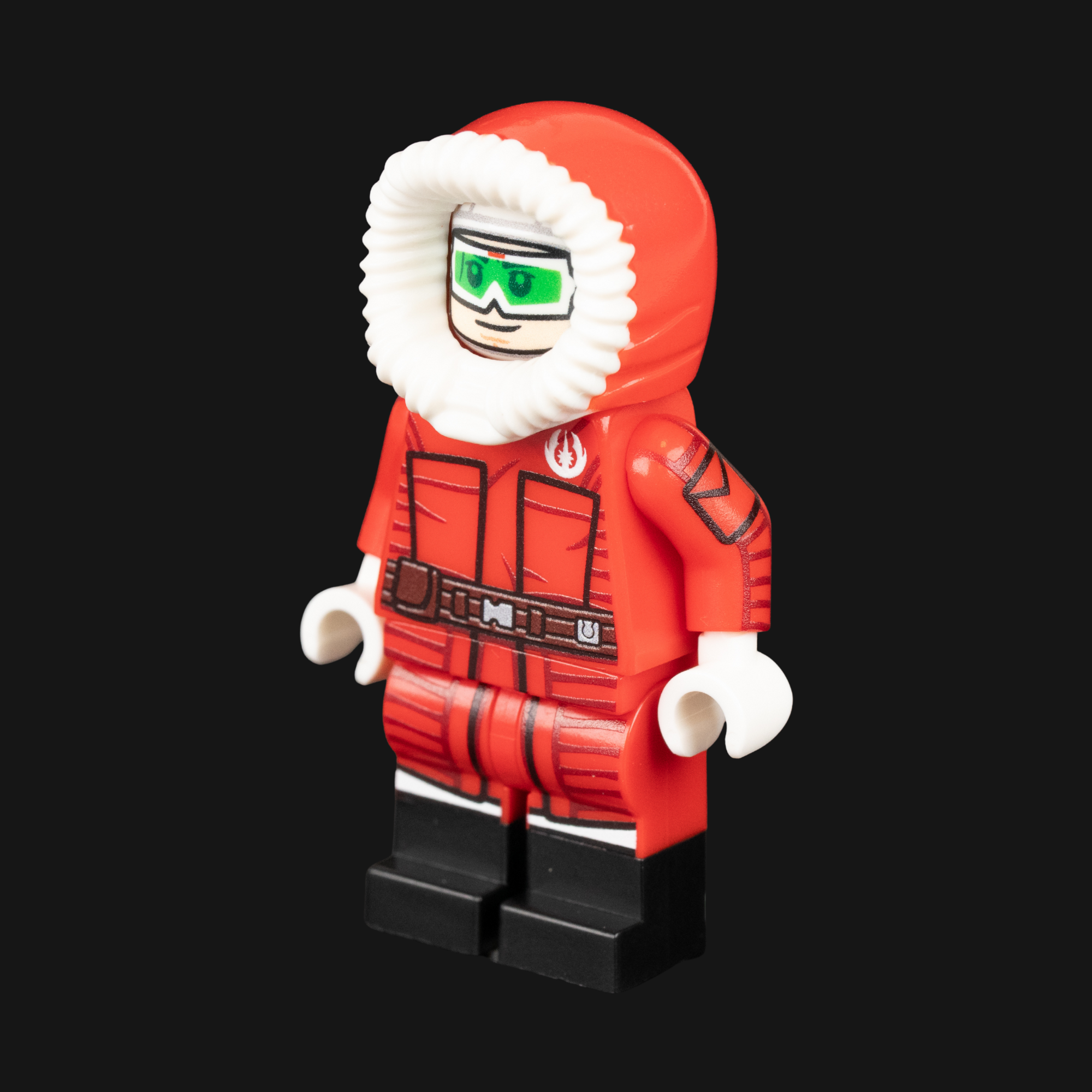 Santa Ani