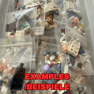 [B-Grade/B-Ware] 1x Random Misprint & Parts Bag