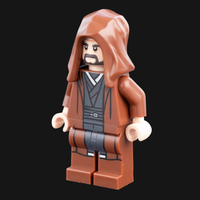 Robed Robert